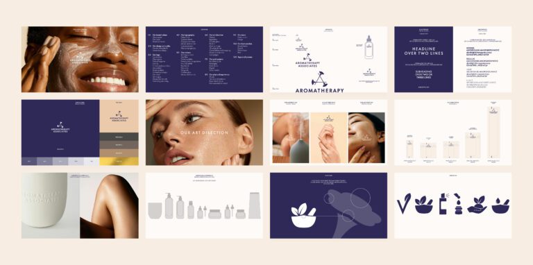 SEA_Web_AA_Guidelines
