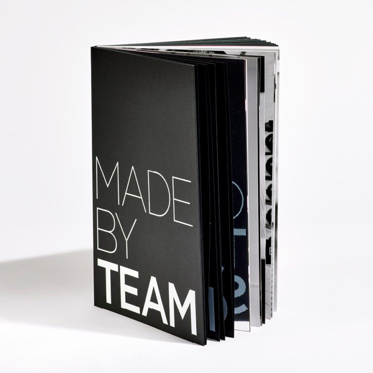 SEA_Web_TEAM_Brand_Case_Study_v2