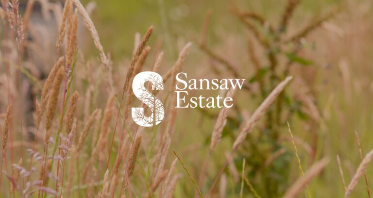 Sansaw header main
