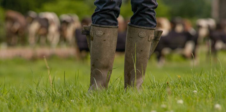 wellies