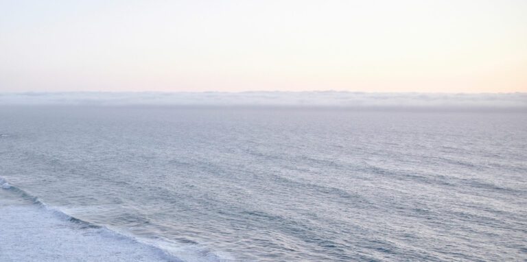 SEA_Rathbones_23