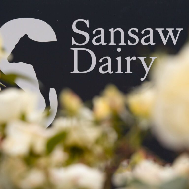 SEA_Sansaw_Square2