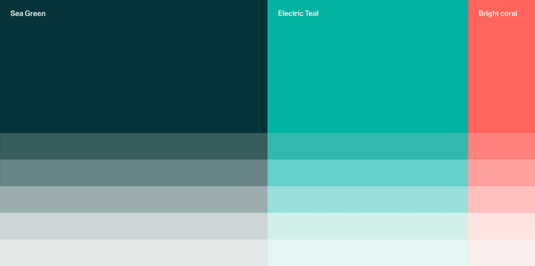 W1M_Case_Study_Wides_V12.2