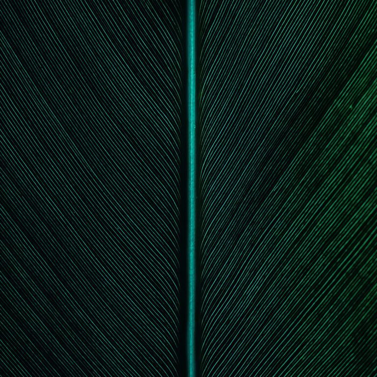 leaf1