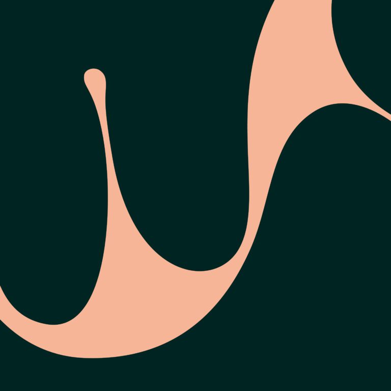 Salvaterra_CaseStudy_21